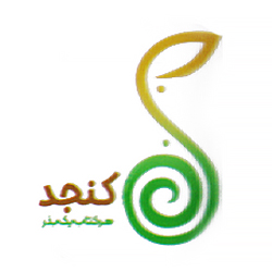 کنجد