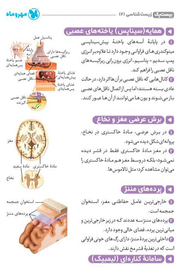 خلاصه کپسولی بیست پک زیست یازدهم مهروماه