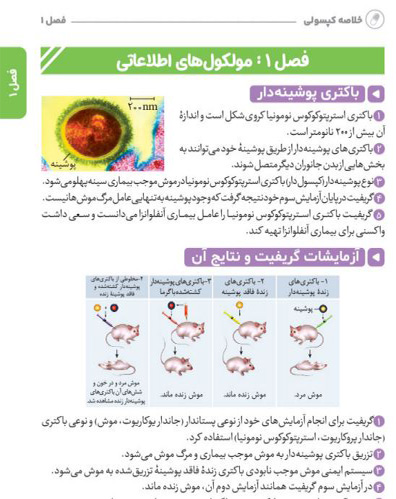 خلاصه کپسولی بیست پک زیست دوازدهم مهروماه