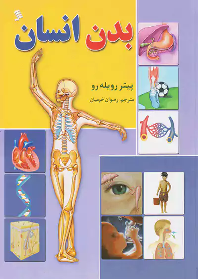 نشر شهر بدن انسان نشر شهر بدن انسان